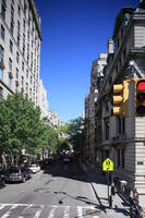 building, car, day, elevated, facade, Manhattan, New York, street, sunny, The United States, traffic light, tree, vegetation