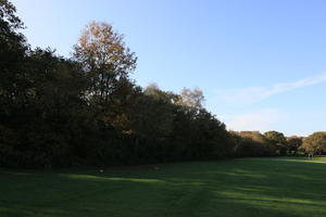 day, England, eye level view, grass, London, natural light, park, sunny, The United Kingdom, tree, vegetation