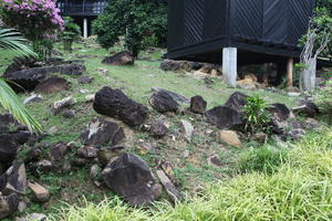 ambient light, day, eye level view, garden, Kedah, Malaysia, overcast, vegetation