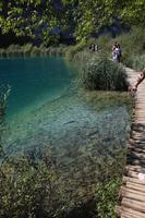 animal, bridge, bush, Croatia, day, eye level view, fish, group, Karlovacka, lake, people, tourist, tree, vegetation