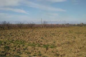 afternoon, Croatia, day, direct sunlight, eye level view, field, open space, outdoors, spring, sunlight, sunny, sunshine, Zadarska