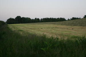 countryside, dusk, eye level view, field, grass, natural light, summer, The United Kingdom, vegetation, Wales