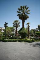 Arequipa, Arequipa, autumn, day, eye level view, natural light, palm, park, Peru, sunny, tree, vegetation