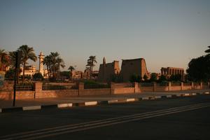 day, dusk, East Timor, Egypt, Egypt, eye level view, natural light, palm, ruin, street, vegetation