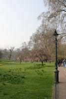 day, deciduous, diffuse, diffused light, England, eye level view, grass, lamppost, London, natural light, park, spring, sunny, The United Kingdom, tree