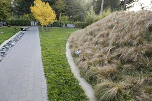 autumn, broad-leaf tree, broad-leaved tree, California, day, diffuse, diffused light, eye level view, grass, park, path, San Francisco, The United States