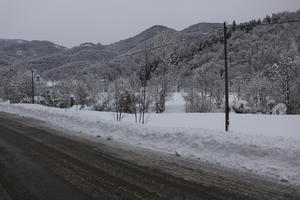 ambient light, day, diffuse, diffused light, eye level view, Italia , morning, mountain, natural light, overcast, road, snow, tree, Veneto, winter