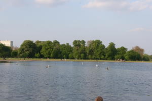 broad-leaf tree, broad-leaved tree, day, deciduous, England, eye level view, lake, London, park, spring, sunny, The United Kingdom, tree, treeline