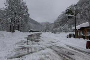 ambient light, day, diffuse, diffused light, eye level view, Italia , morning, natural light, overcast, road, snow, tree, Veneto, winter