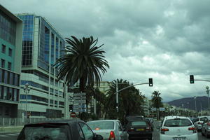 car, eye level view, France, Nice, overcast, palm, Provence Alpes Cote D