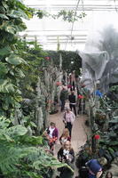 day, elevated, England, family, garden, group, natural light, park, people, plant, The United Kingdom, Woking