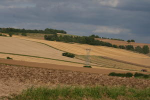 Bourgogne, crop, day, Dijon, eye level view, field, France, natural light, tree, utility pole, woodland