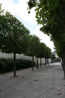 Belgium, Brussels, day, eye level view, natural light, park, path, summer, tree, vegetation