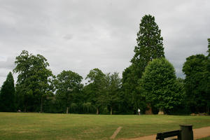 Abingdon, day, England, eye level view, garden, grass, natural light, park, summer, The United Kingdom, tree, treeline