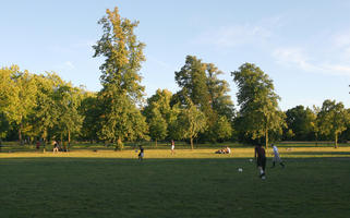 afternoon, broad-leaf tree, broad-leaved tree, day, England, eye level view, grass, London, park, summer, sunny, The United Kingdom, treeline