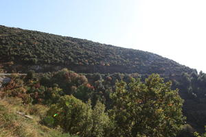 autumn, bright, Croatia, day, Dubrovacko-Neretvanska, Dubrovnik, eye level view, hill, natural light, shrubland, sunny