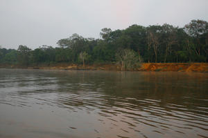 Brunei, day, diffuse, diffused light, eye level view, forest, natural light, river, summer, treeline, tropical