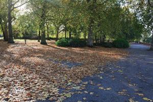 afternoon, autumn, Battersea park, day, England, eye level view, leaf, London, park, path, sunny, The United Kingdom, tree