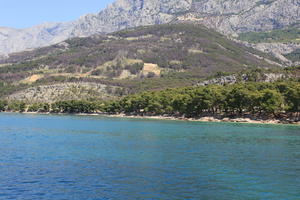 coastline, Croatia, day, eye level view, Makarska, seascape, Splitsko-Dalmatinska, summer, tree, vegetation