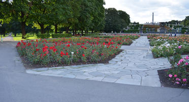 autumn, day, diffuse, diffused light, eye level view, flower, flowering, garden, Norway, Oslo, Oslo, pavement