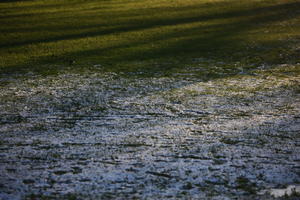 dusk, England, grass, London, lowered, park, The United Kingdom, winter