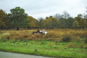 afternoon, autumn, cloudy, day, England, eye level view, horse, park, people, riding, The United Kingdom, vegetation, Wimbledon