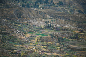 Arequipa, Arequipa, autumn, day, elevated, natural light, Peru, sunny, valley, Valley of Volcanoes, vegetation