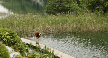 Croatia, day, diffuse, diffused light, elevated, Karlovacka, lake, natural light, reed, summer