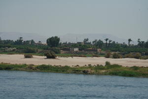 day, East Timor, Egypt, Egypt, eye level view, natural light, palm, river, river Nile, tree, vegetation