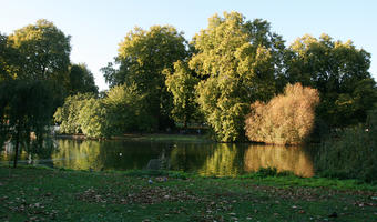 afternoon, autumn, day, England, eye level view, grass, lake, London, park, sunny, The United Kingdom, treeline