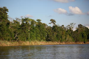 bright, Brunei, day, eye level view, forest, river, summer, sunny, tropical