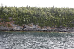 broad-leaf tree, broad-leaved tree, Canada, cliff, coniferous, day, eye level view, Ontario, seascape, summer, sunny, Tobermory, tree, treeline, woodland