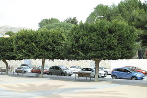 bench, car, day, eye level view, Orihuela, Spain, street, sunny, tree, Valenciana