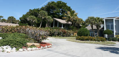 bush, day, drive, eye level view, Florida, garden, palm, Sarasota, sunny, sunshine, The United States, tree, villa, winter