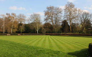 day, deciduous, England, eye level view, grass, London, park, spring, sunny, The United Kingdom, tree