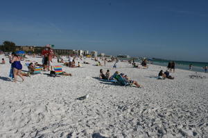 beach, day, eye level view, family, Florida, group, Sarasota, seagull, seascape, summer, sunbathing, sunny, sunshine, The United States, winter