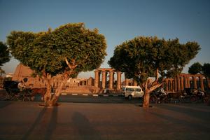 day, dusk, East Timor, Egypt, Egypt, eye level view, natural light, ruin, tree, vegetation