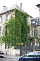 Amiens, day, eye level view, facade, France, house, ivy, overcast, Picardie, street, vegetation