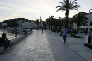 Croatia, day, diffuse, diffused light, eye level view, natural light, palm, pavement, Phoenix canariensis, promenade, Split, Splitsko-Dalmatinska, summer