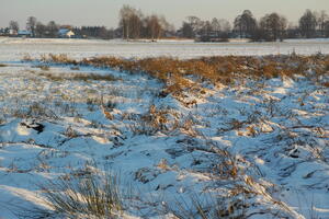 Poland, Wielkopolskie