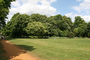 afternoon, Cambridge, day, England, eye level view, grass, lawn, park, path, spring, sunny, The United Kingdom, tree, vegetation