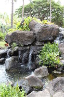 bush, day, diffuse, diffused light, eye level view, Hawaii, natural light, pond, shrub, summer, The United States, tropical, waterfall