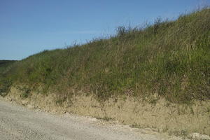 day, eye level view, grass, hill, Italia , Siena, spring, sunny, Toscana