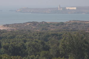 autumn, coastline, day, direct sunlight, elevated, Essaouira, Morocco, natural light, seascape, sunlight, sunny, sunshine, tree, vegetation