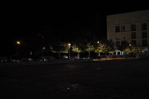 artificial lighting, building, city, Croatia, eye level view, night, pavement, pavement, paving, plaza, spring, treeline, Zadar, Zadarska