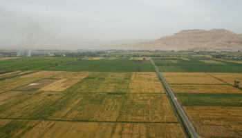 aerial view, day, diffuse, diffused light, Egypt, field, natural light, summer