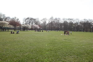 day, England, eye level view, grass, group, London, park, people, picnicking, sitting, spring, sunny, The United Kingdom