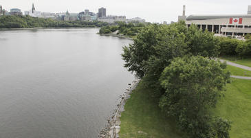 broad-leaf tree, broad-leaved tree, Canada, day, diffuse, diffused light, elevated, Ontario, Ottawa, park, river, summer