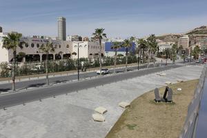 Alicante, day, elevated, natural light, palm, pavement, Spain, street, sunny, Valenciana, vegetation