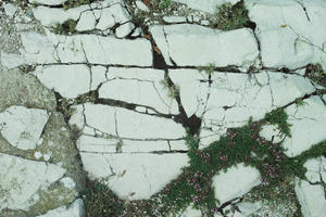 day, diffuse, diffused light, eye level view, natural light, rock, texture